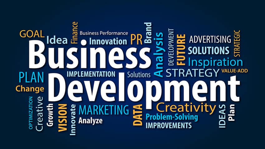Business Development Programmes Business Development Programme ( Strategy Planning) - Rise Enterprises